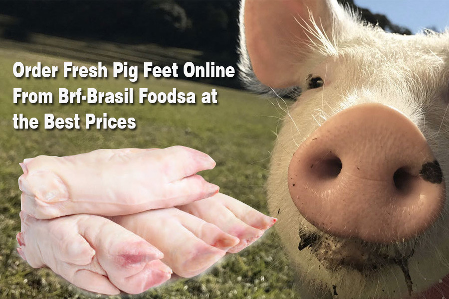 Order Fresh Pig Feet Online From Brf-Brasil Foodsa at the Best Prices